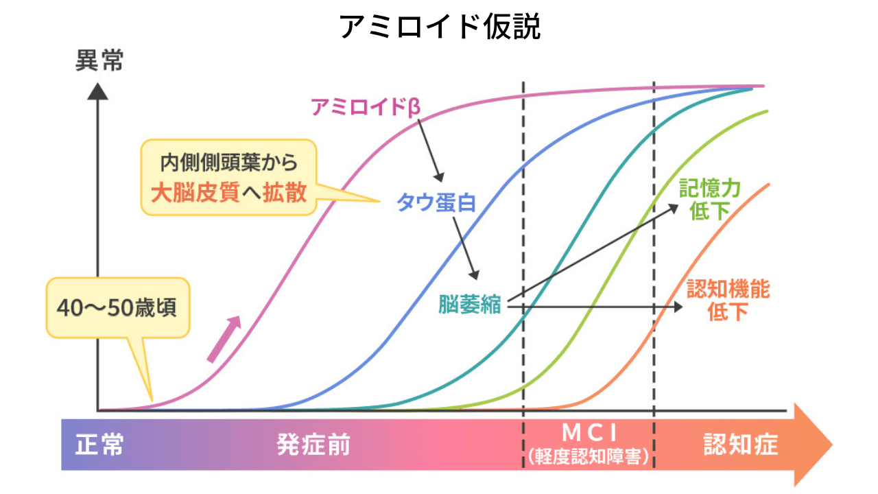 アミロイド仮説