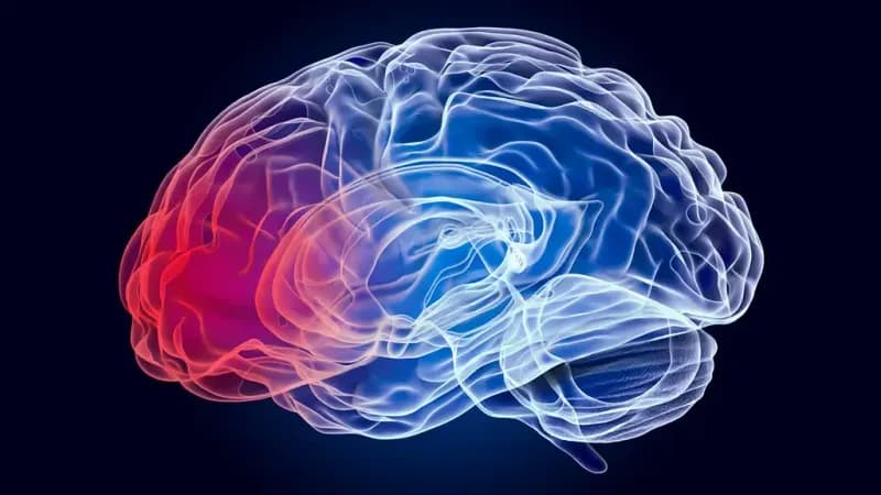 脳腫瘍ってどんな病気？｜種類や予後、治療法を解説
