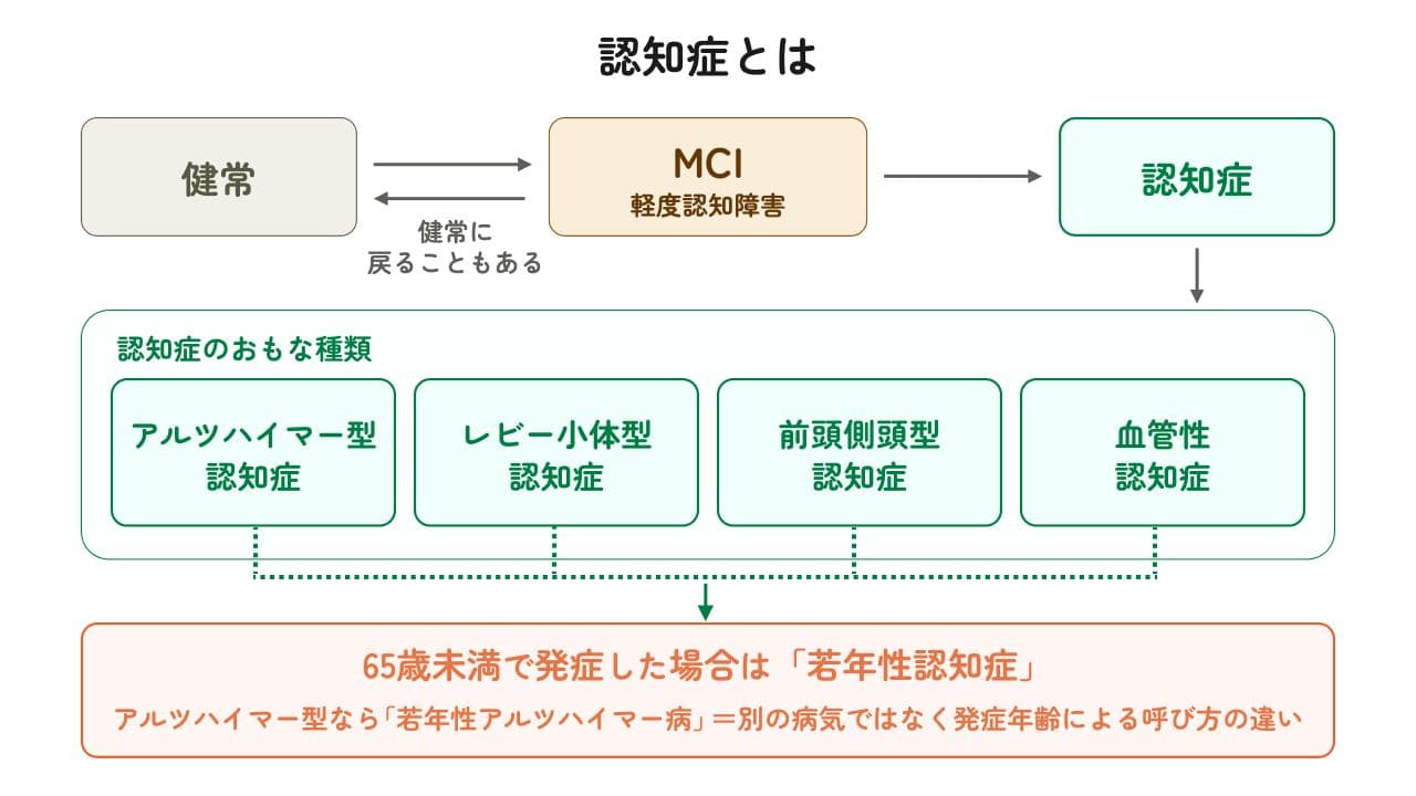 健常からMCIを経て認知症に至るまで・認知症の種類・若年性認知症を整理した図