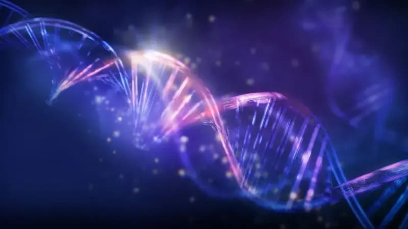 「認知症は遺伝するのでしょうか？」遺伝との関係をわかりやすく解説します