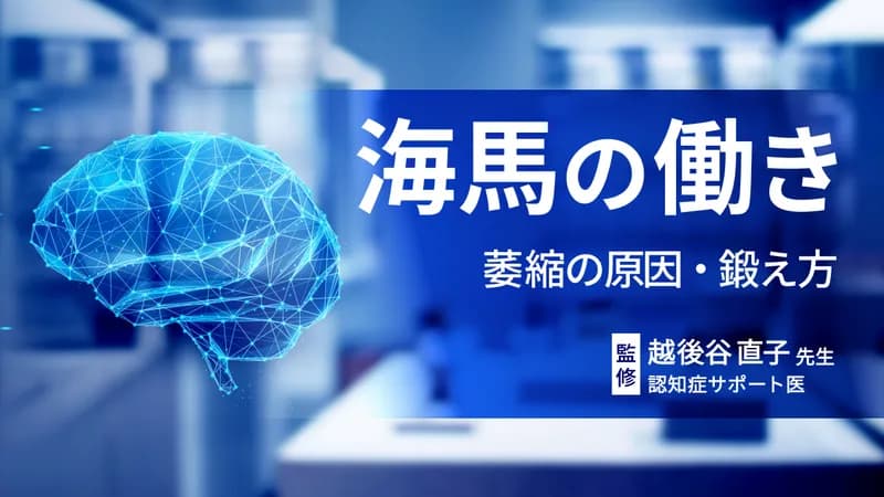 脳の記憶を司る海馬の役割とは｜萎縮の原因や鍛え方のヒントを解説