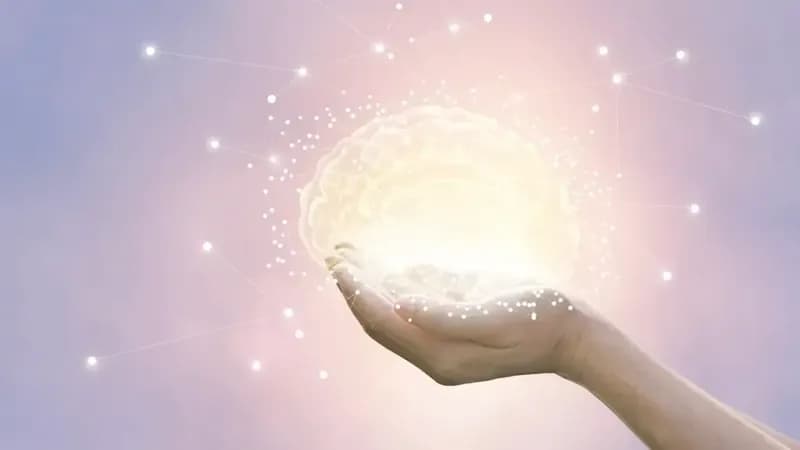 記憶力を高める方法は？医学的検知からコツと低下