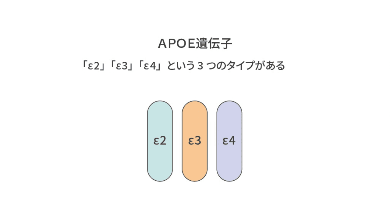 APOE遺伝子の3つのタイプ