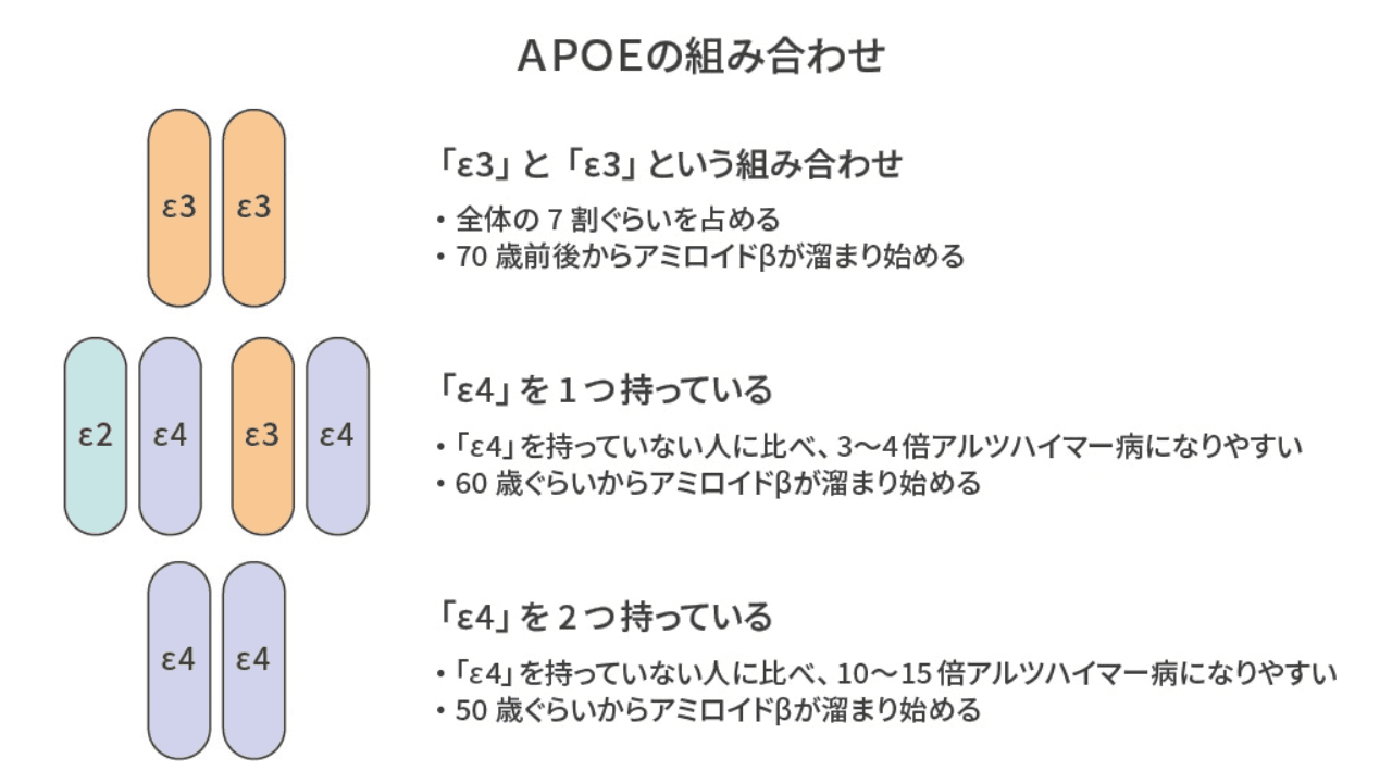 APOEの組み合わせ