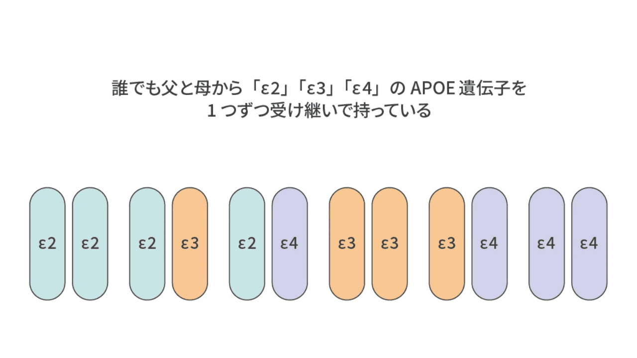APOE遺伝子