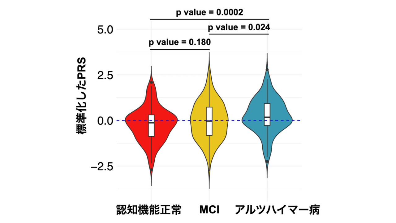アルツハイマー病では認知機能正常やMCIよりPRSが高い(新潟大学脳研究所)