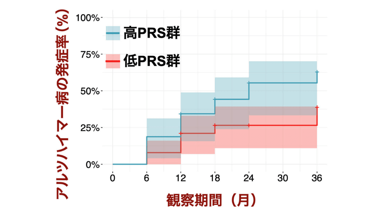 PRSで層別化したMCI患者のアルツハイマー病発症リスク(新潟大学脳研究所)