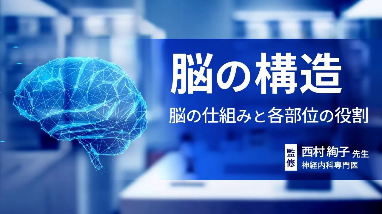 脳の構造と各部位の役割|機能・働きを専門医がわかりやすく解説