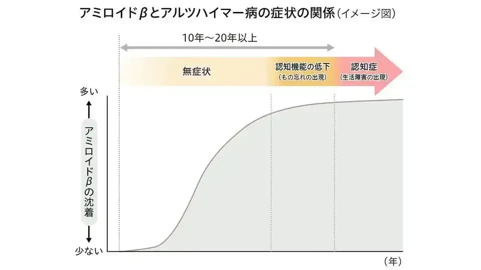 認知症では脳にどんな変化が起こっているの?脳の変化と症状を解説