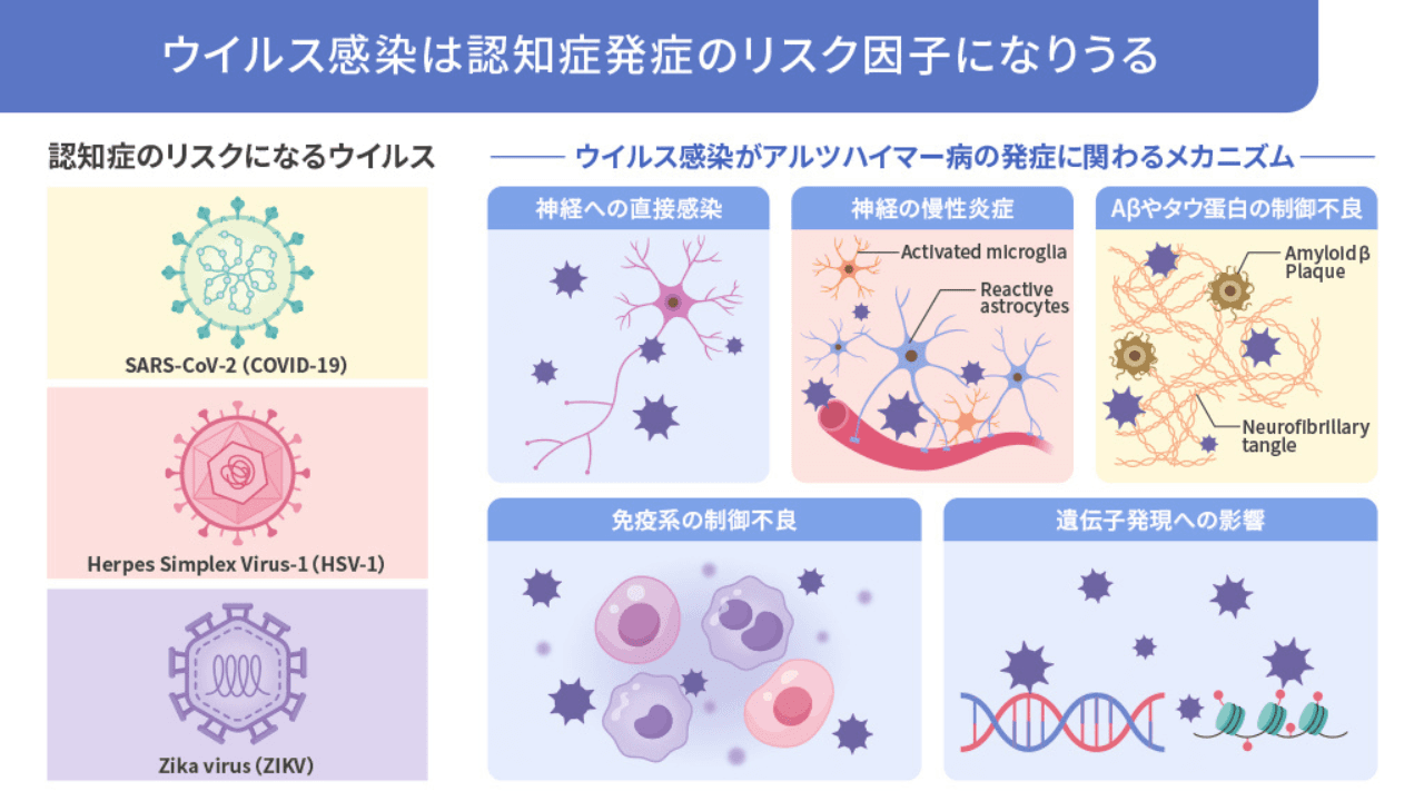 dementia-and-viruses