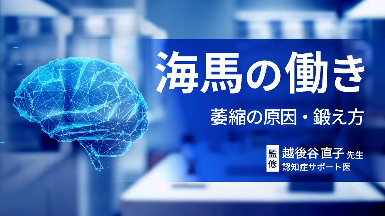 脳の記憶を司る海馬の役割とは|萎縮の原因や鍛え方のヒントを解説