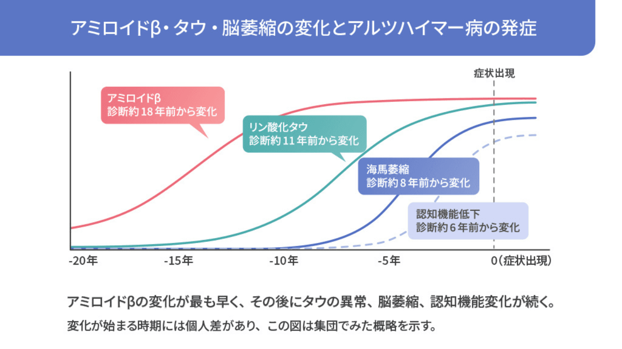 アミロイドβ・タウ・脳萎縮の変化とアルツハイマー病の発症