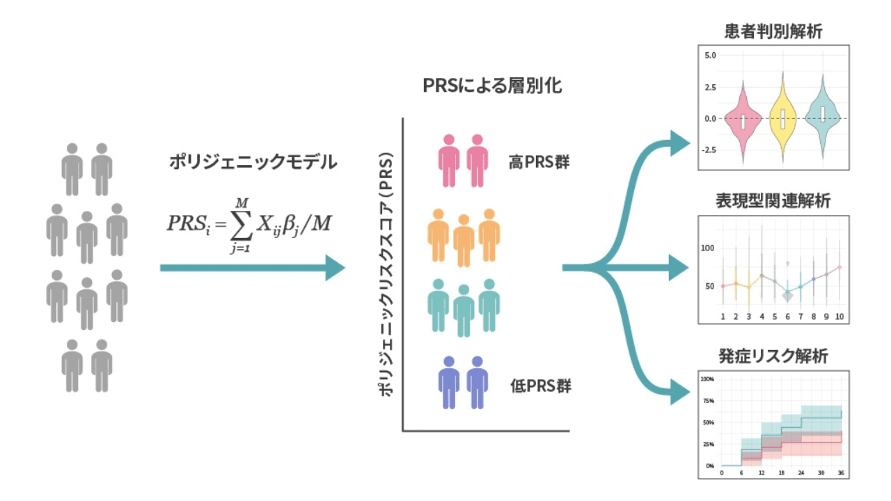 日本人アルツハイマー病のポリジェニックリスク解析の研究