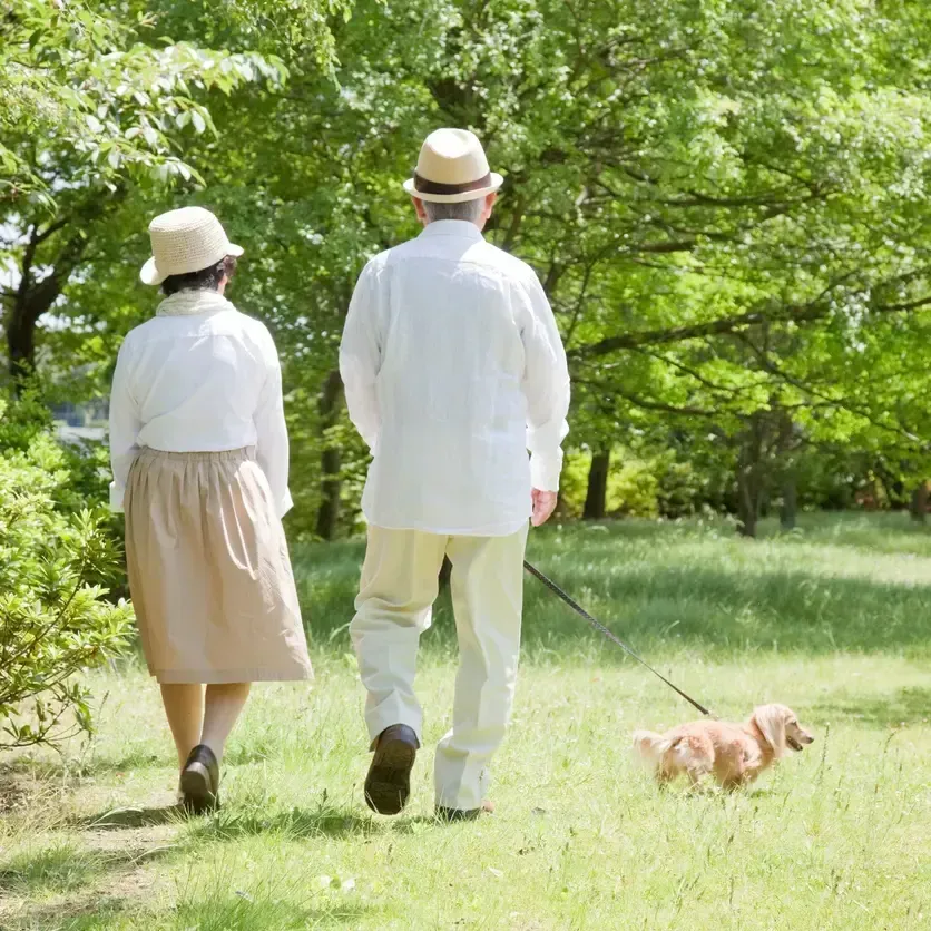 【論文解説】脳の健康を維持するために最適な毎日の歩数とは？
