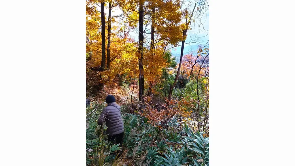 登山中に撮影した写真