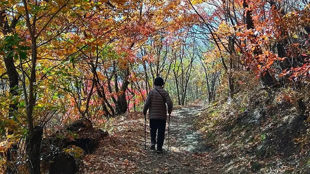 歩いているあかみこ先生のお母様