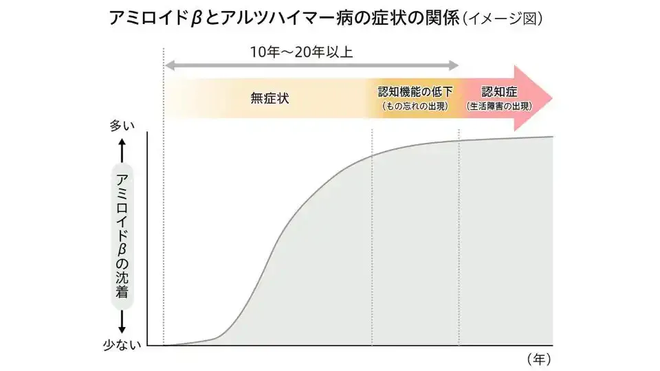 認知症では脳にどんな変化が起こっているの?脳の変化と症状を解説