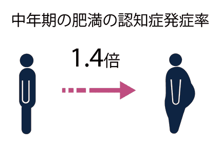 中年期の肥満の認知症発症率