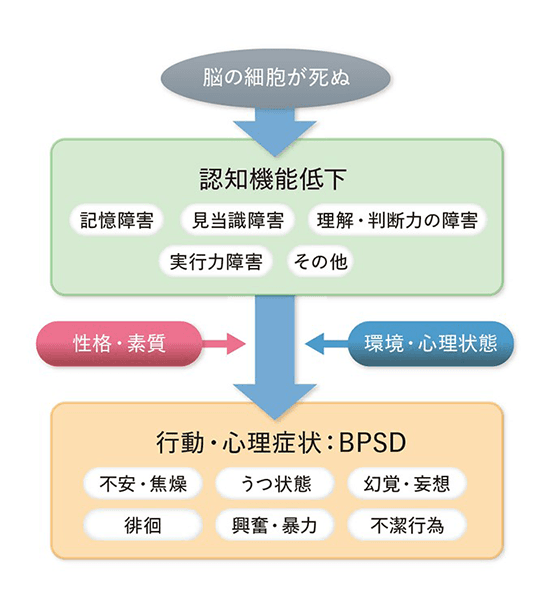 認知機能低下と行動・心理症状：BPSD