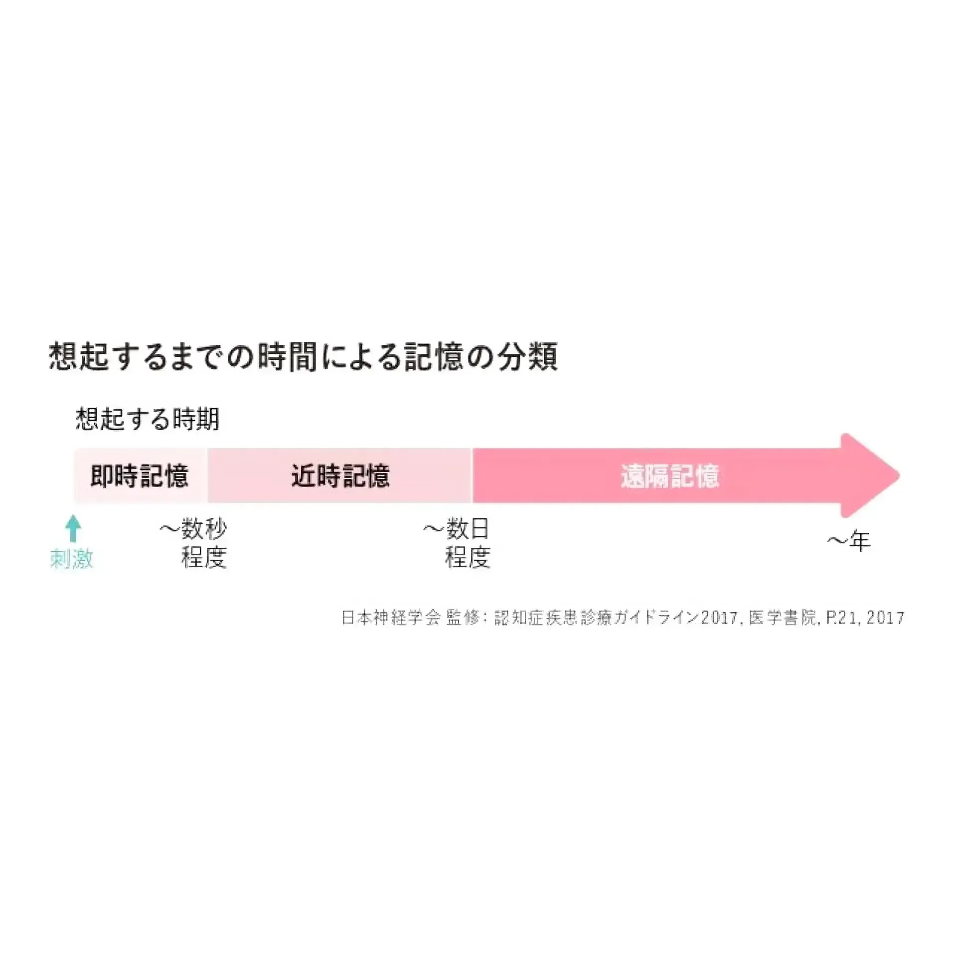 認知症による記憶障害の内容と忘れる順番とは？家族の心がまえも解説