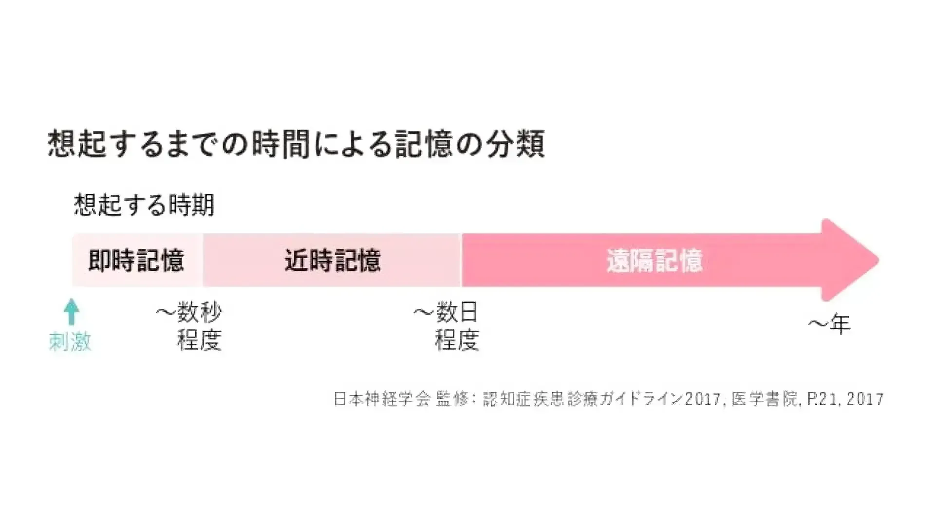 認知症による記憶障害の内容と忘れる順番とは？家族の心がまえも解説