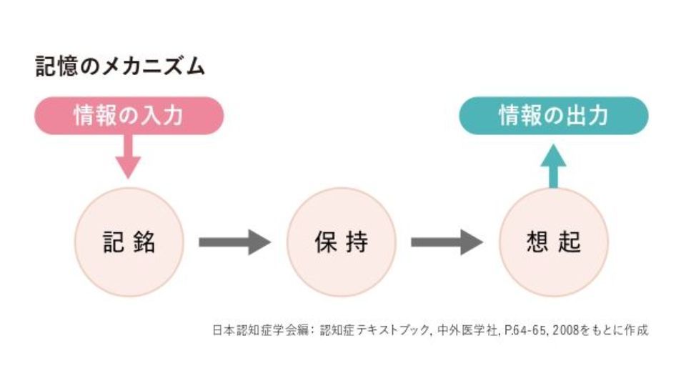 記憶障害とそのメカニズム