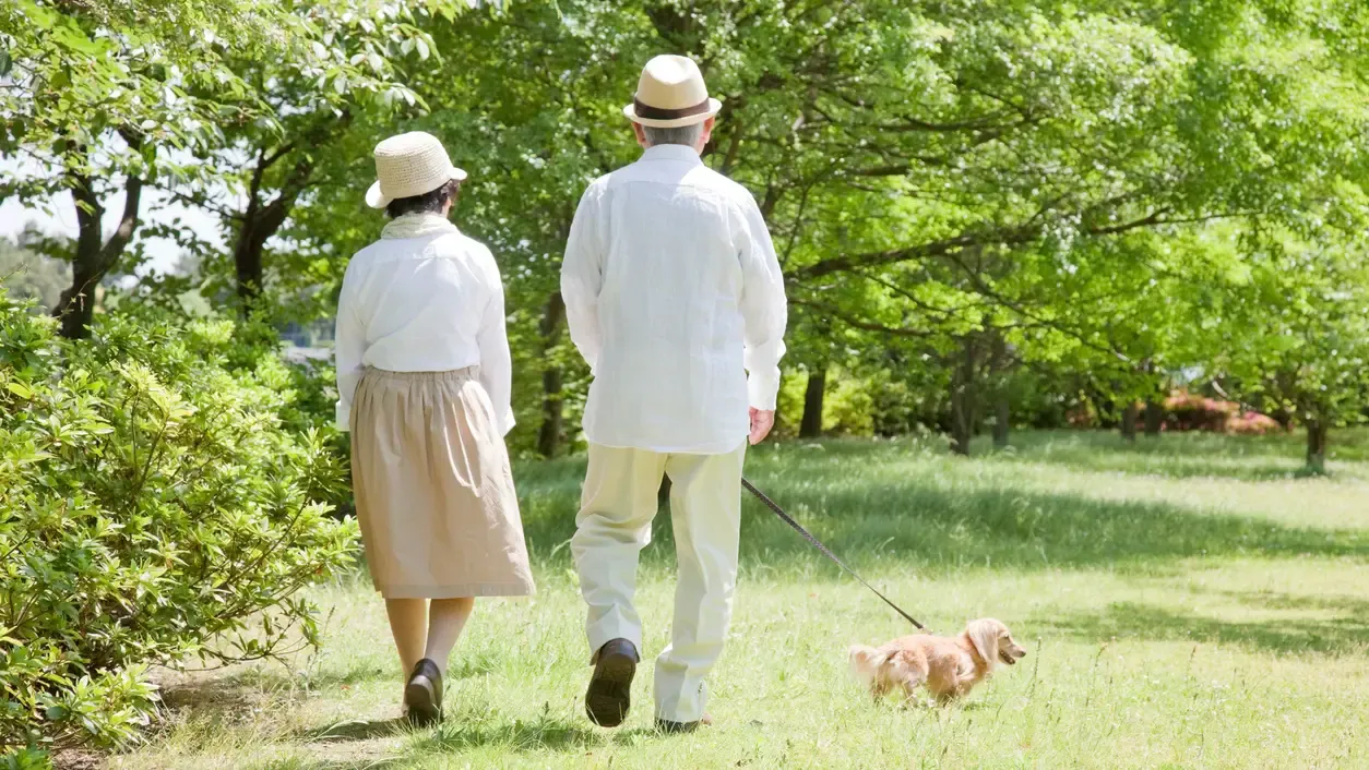 【論文解説】脳の健康を維持するために最適な毎日の歩数とは？