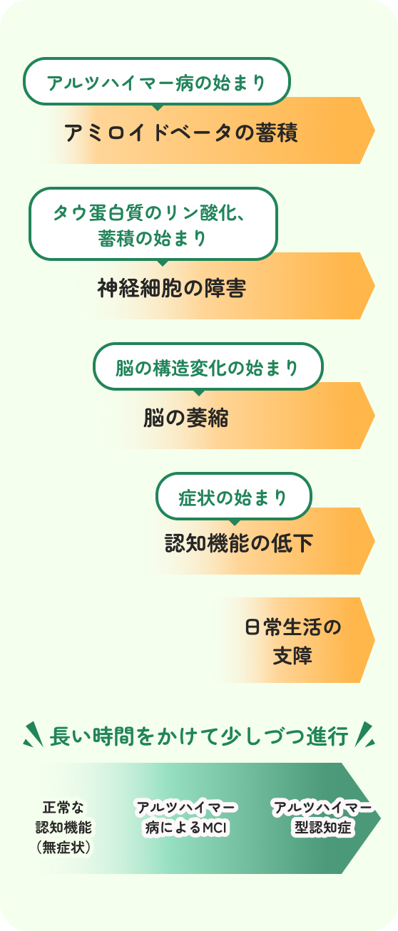 アルツハイマー病が、長い時間をかけて少しづつ進行し、それぞれの症状を時系列で表した図。正常な認知機能（無症状）　から、アルツハイマー病によるMCIを経て、アルツハイマー型認知症になっていく。それぞれ、アルツハイマー病の始まり：アミロイドベータの蓄積　→　タウ蛋白質のリン酸化、蓄積の始まり：神経細胞の障害　→　脳の構造変化の始まり：脳の萎縮　→　症状の始まり：認知機能の低下　→　日常生活の支障