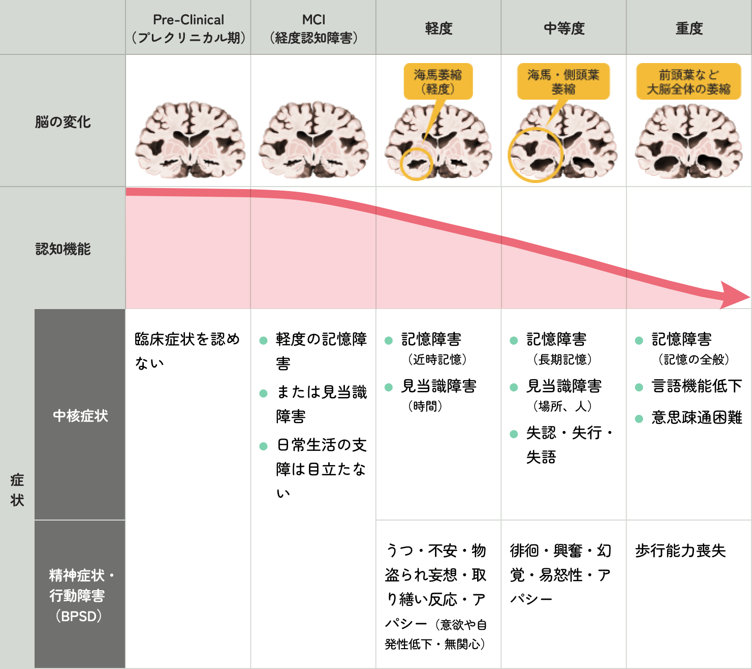 「脳の変化と認知機能・症状」をまとめた表。詳細は後述で説明。